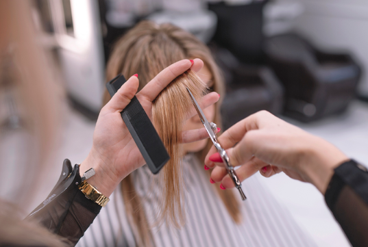 Hairdresser cutting hair Hairdresser cutting hair
